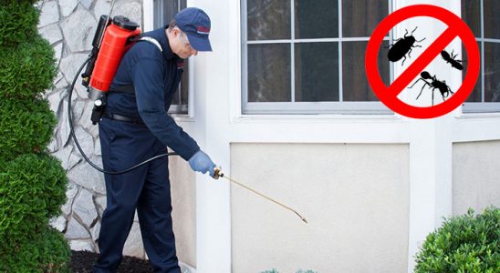 Bahşili Böcek ve Haşere İlaçlama böcek ilaçlama ve haşere kontrolü — ilaclama-tr.com